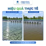 Tạo Màu Trà Đậm Đặc